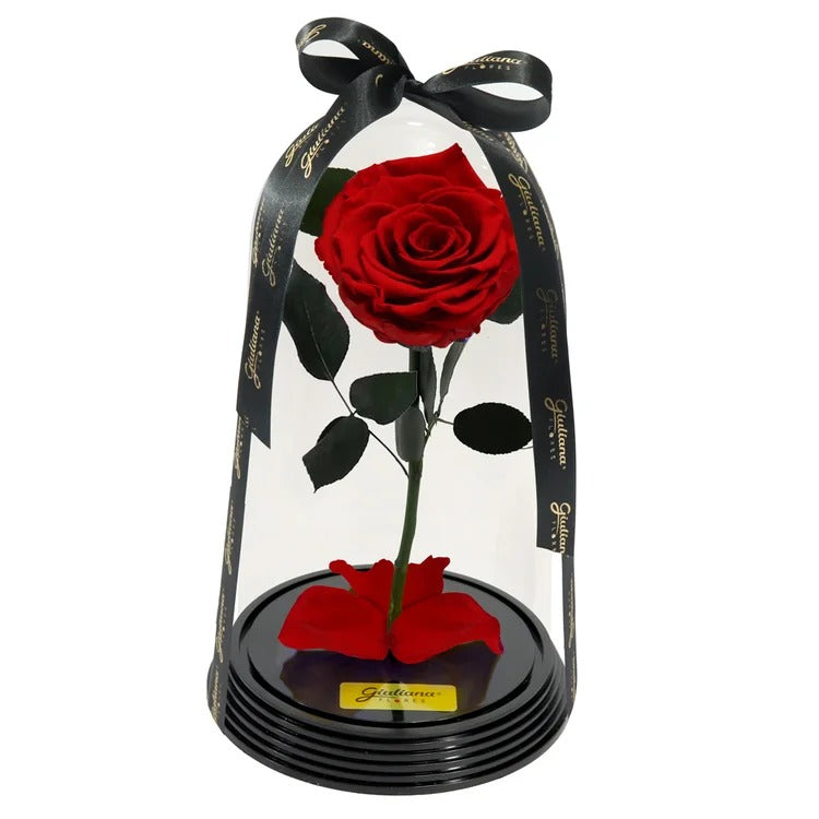 Fabulosa Rosa Encantada Vermelha