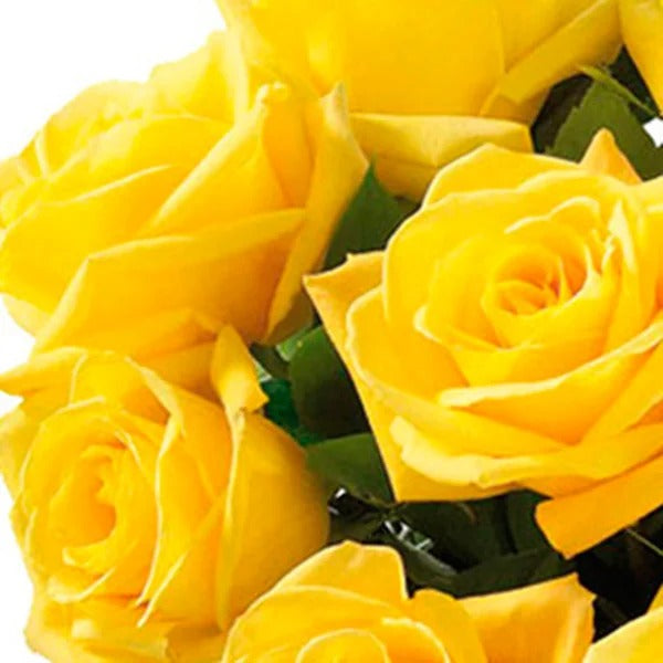 Luxuosas 12 Rosas Amarelas no Vaso