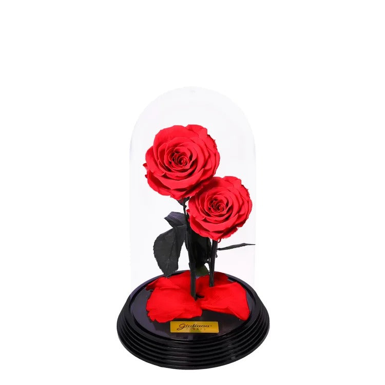 Dueto de Rosas Encantadas Vermelhas