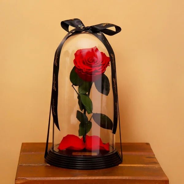 Fabulosa Rosa Encantada Vermelha