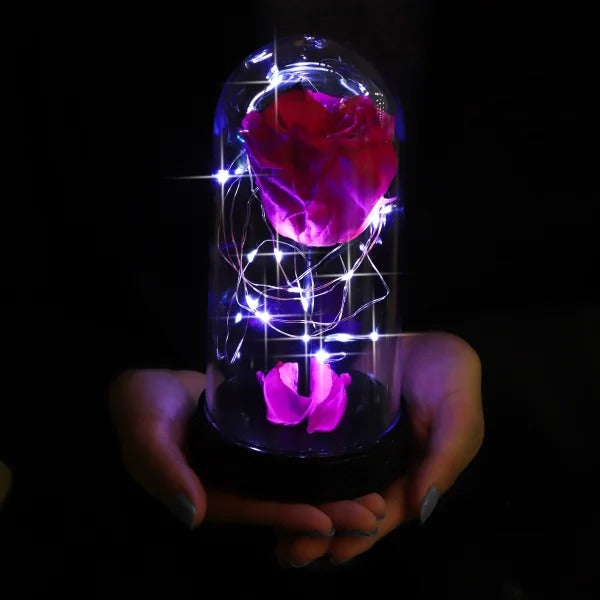 A Bela Rosa Encantada Estrelada Pink