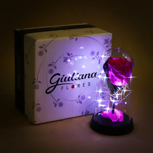 A Bela Rosa Encantada Estrelada Pink