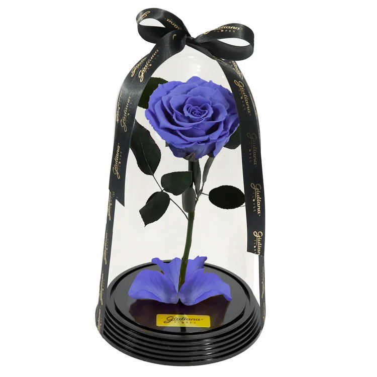 Fabulosa Rosa Encantada Lilás