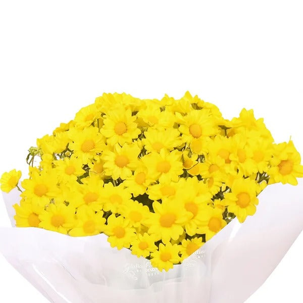 Mini Vaso de Margaridinhas Amarelas