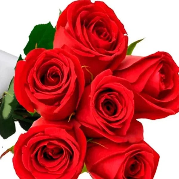 Buquê de 6 Rosas Vermelhas