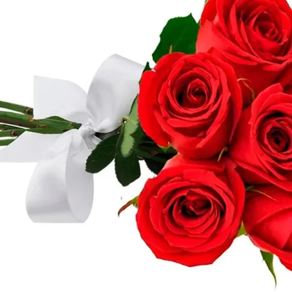 Buquê de 6 Rosas Vermelhas