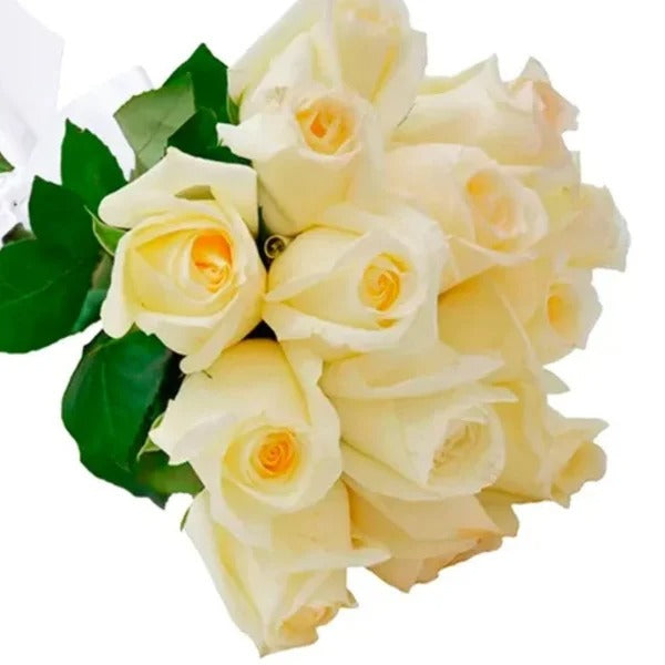 Buquê de 12 Rosas Brancas