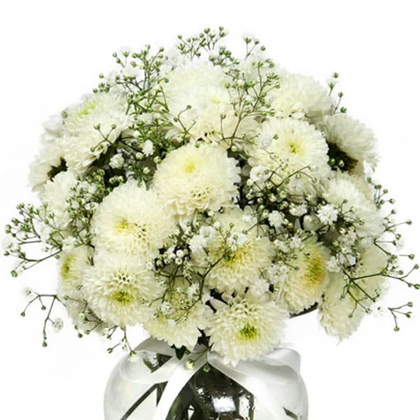 Brisa de Pinóquios Brancos e Gypsophila