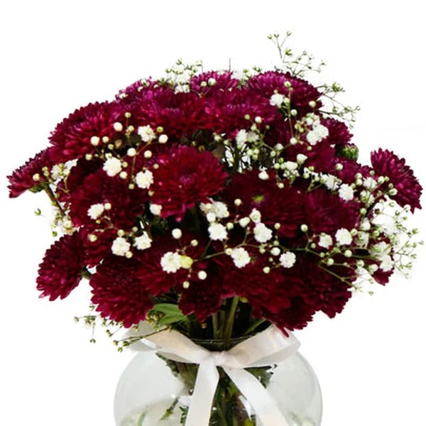 Brisa de Pinóquios Marsala e Gypsophila