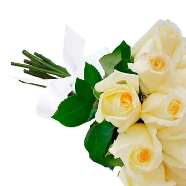 Buquê de 12 Rosas Brancas