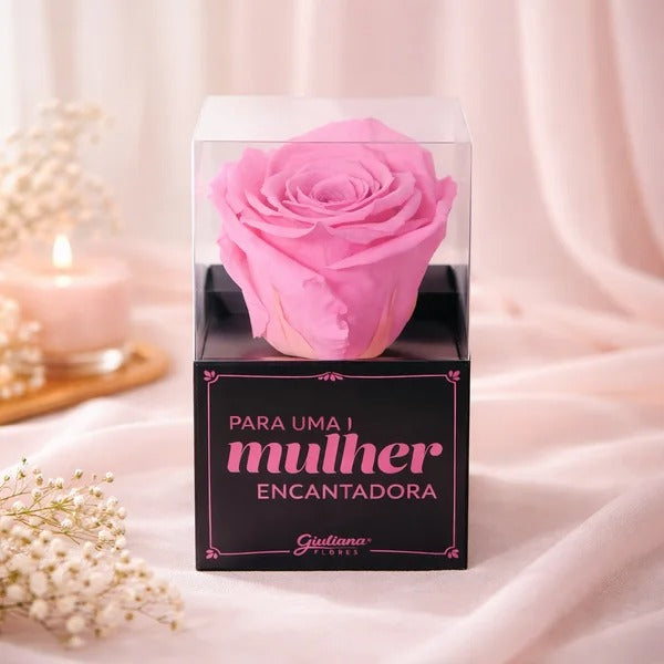 Rosa Encantada Pink Para Uma Mulher Encantadora
