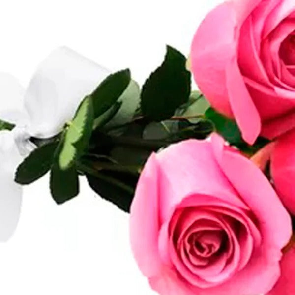 Buquê de 6 Rosas Lilás