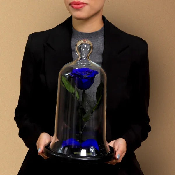 A Rosa Encantada Azul