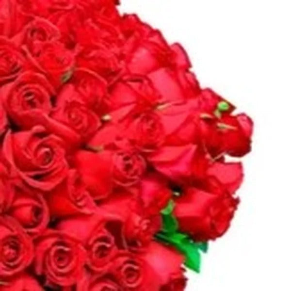 Mega Buquê de 200 Rosas Vermelhas