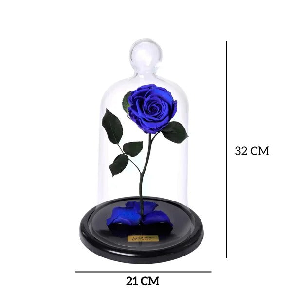 A Rosa Encantada Azul
