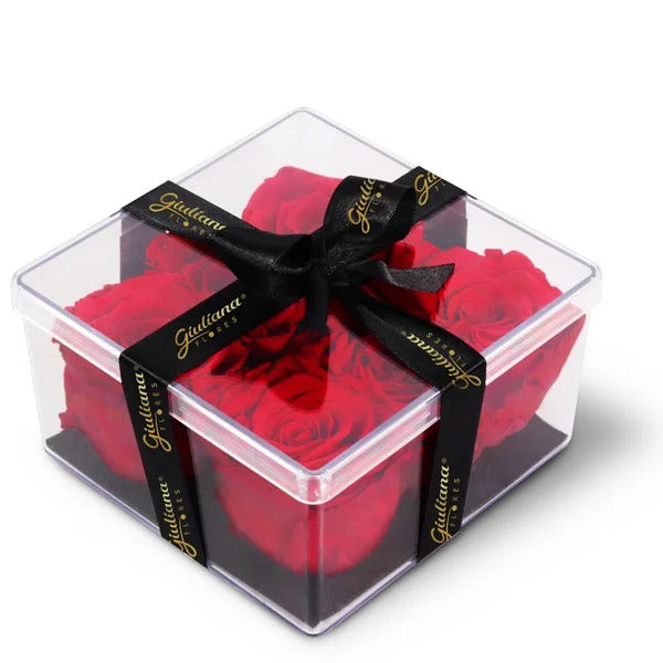 Box Crystal com Rosas Encantadas Vermelhas