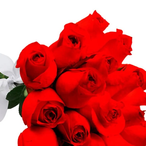 Buquê de 18 Rosas Vermelhas