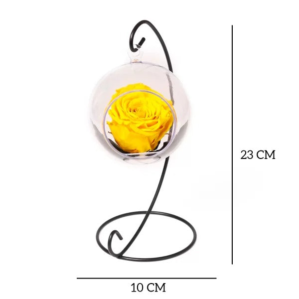 Pêndulo de Rosa Encantada Amarela