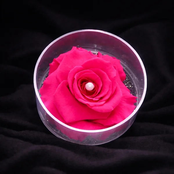 Carisma de Rosa Encantada Pink