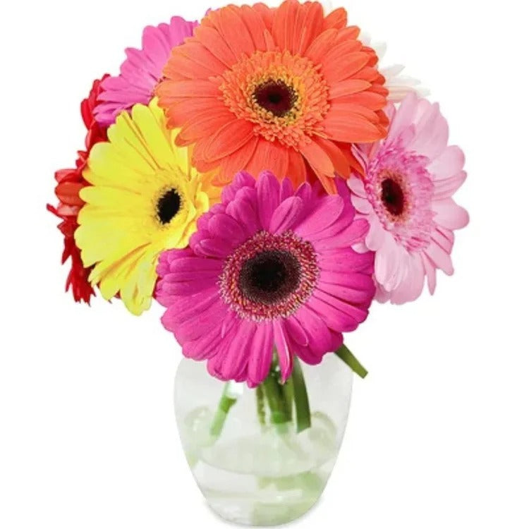 Arranjo de Gérberas Coloridas Lembrei de Você