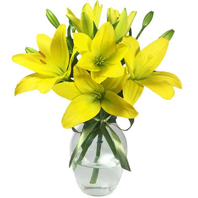 Surpresa de Lírios Amarelos
