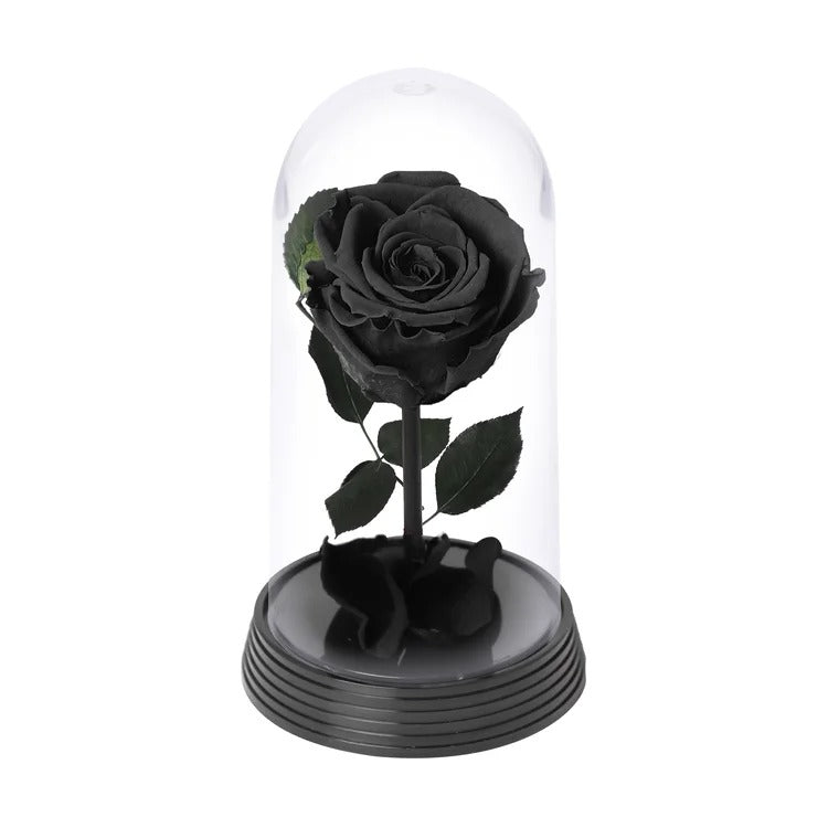 A Bela Rosa Encantada Preta