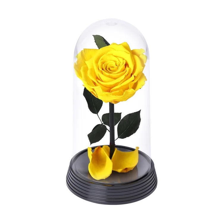 A Bela Rosa Encantada Amarela