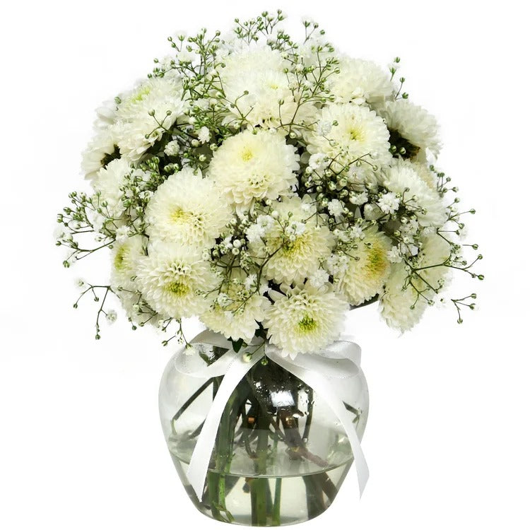 Brisa de Pinóquios Brancos e Gypsophila