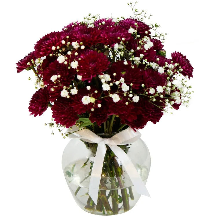 Brisa de Pinóquios Marsala e Gypsophila