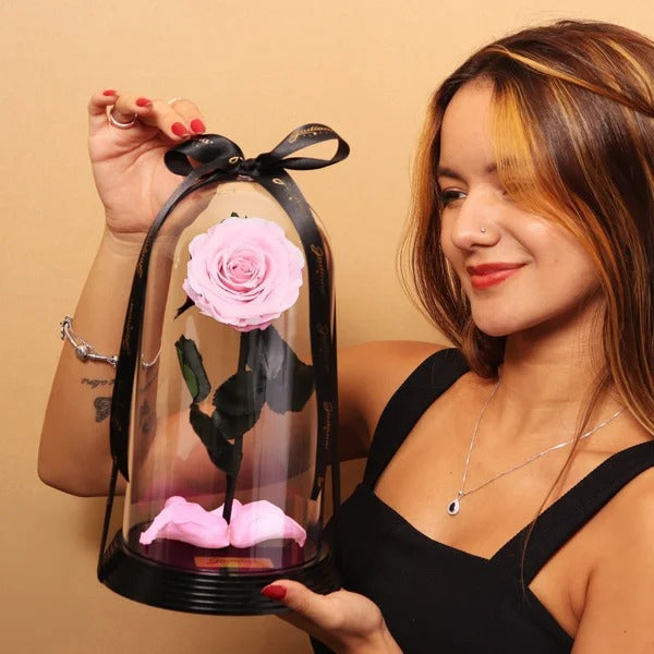 Fabulosa Rosa Encantada Cor de Rosa