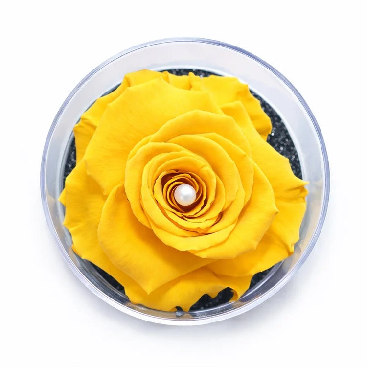 Carisma de Rosa Encantada Amarela