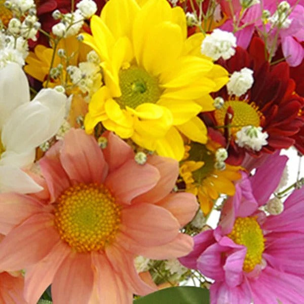 Delicado Mix de Flores Silvestres