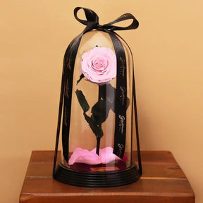 Fabulosa Rosa Encantada Cor de Rosa