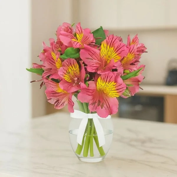 Admiração de Astromélias Cor Rosa no Vaso