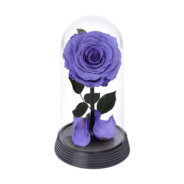 A Bela Rosa Encantada Lílas