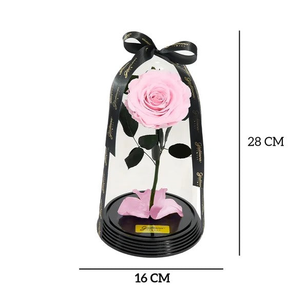 Fabulosa Rosa Encantada Cor de Rosa