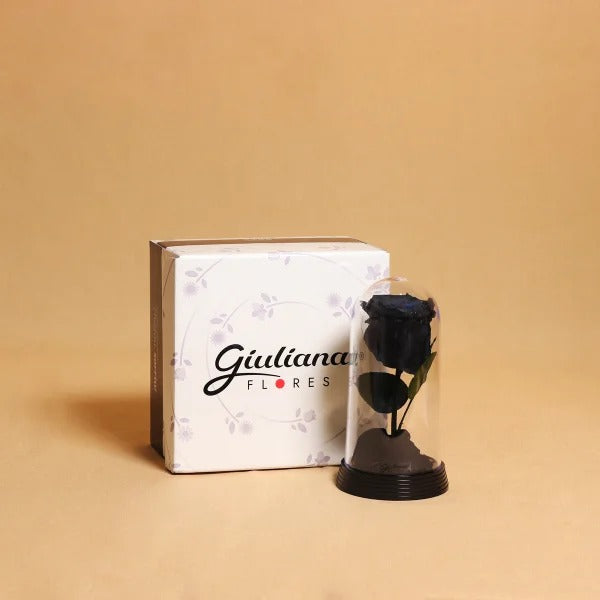 A Bela Rosa Encantada Preta