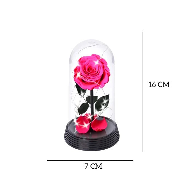 A Bela Rosa Encantada Estrelada Pink