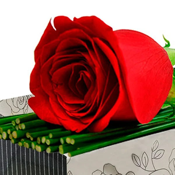 Uma Rosa com Carinho e Chocolate Lindt