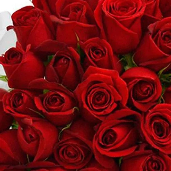 Buquê de 42 Rosas Cor de Rosa