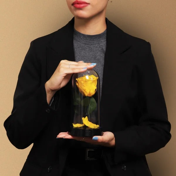 A Bela Rosa Encantada Amarela