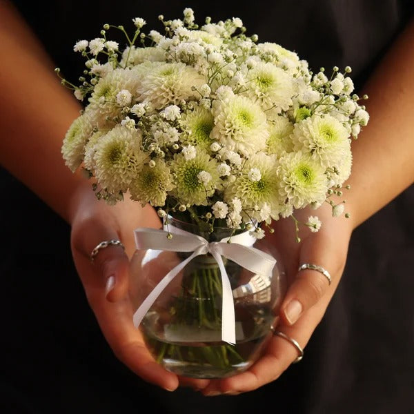 Brisa de Pinóquios Brancos e Gypsophila