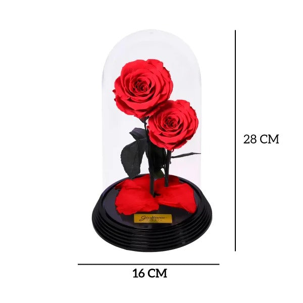 Dueto de Rosas Encantadas Vermelhas