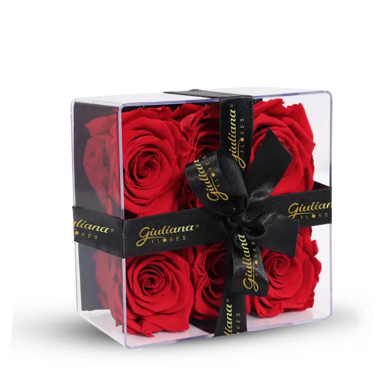 Box Crystal com Rosas Encantadas Vermelhas