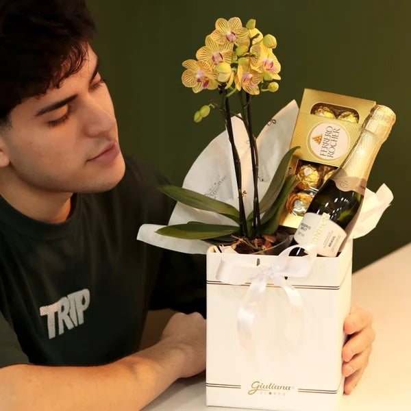 Box Sublime Combinação