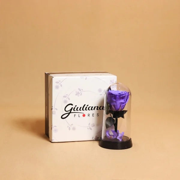 A Bela Rosa Encantada Lílas