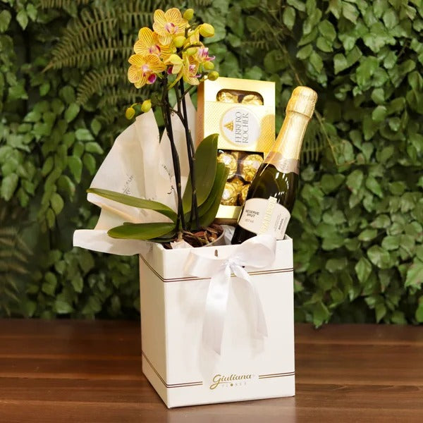 Box Sublime Combinação