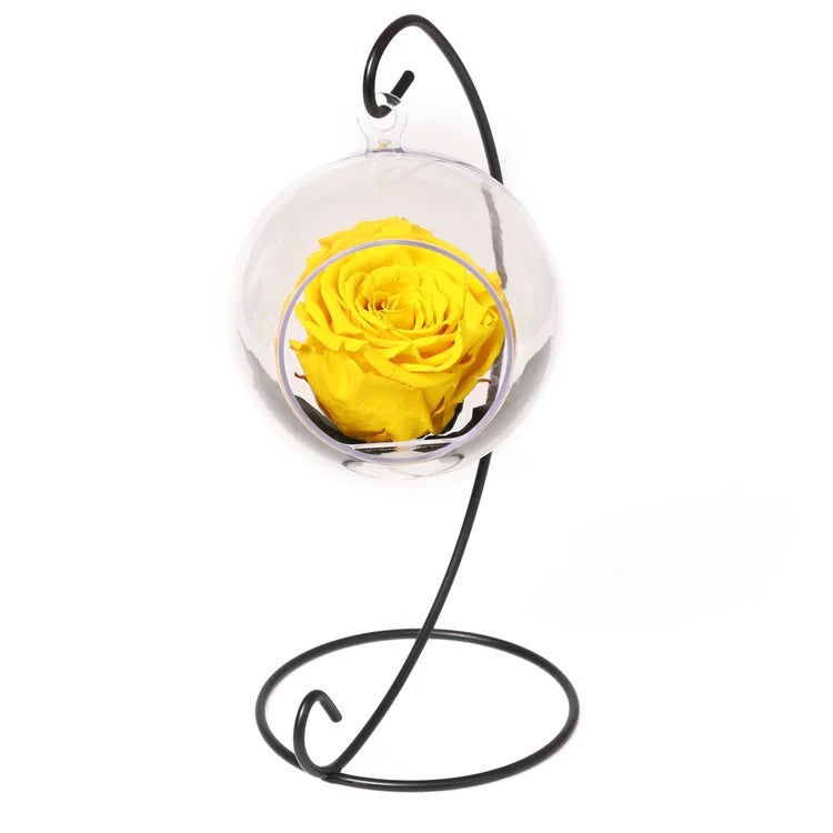 Pêndulo de Rosa Encantada Amarela