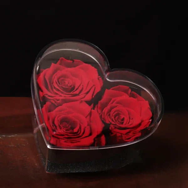 Box Crystal Coração com Rosas Encantadas Vermelhas