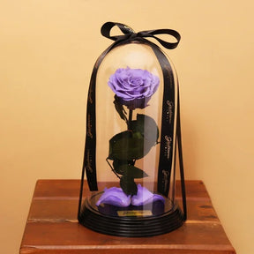 Fabulosa Rosa Encantada Lilás